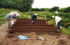 Building the Acessible Raised Beds